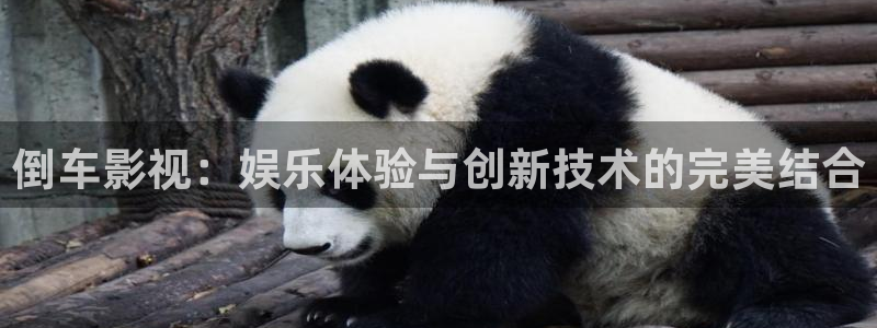 奇米影视超碰：倒车影视：娱乐体验与创新技术的完美结合