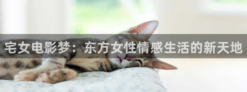 97超碰在线总站：宅女电影梦：东方女性情感生活的新天地