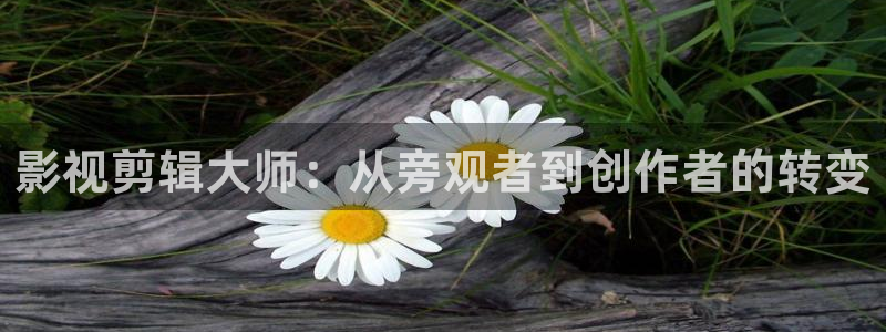 www超碰在线观看