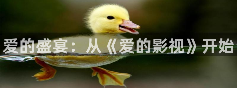 九七超碰在线