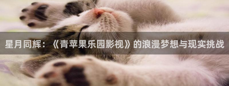 亚洲超碰在线